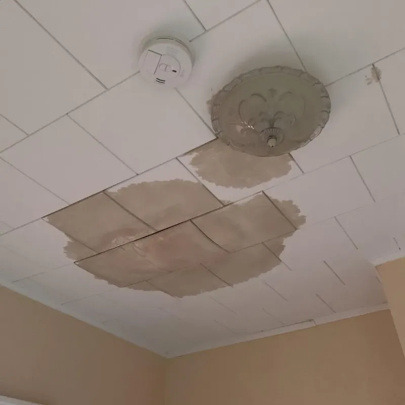 Ceiling Water Damage Repair in Franklin County, AR