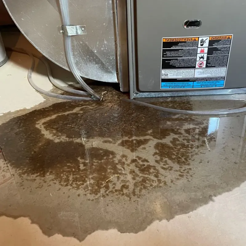 Pipe Burst and Leak Restoration in Franklin County, AR
