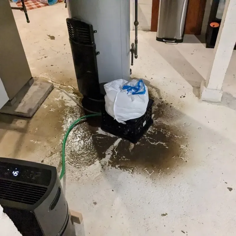 Sewage Backup Cleanup Service in Franklin County, AR